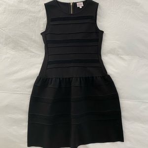 Never worn Parker dress